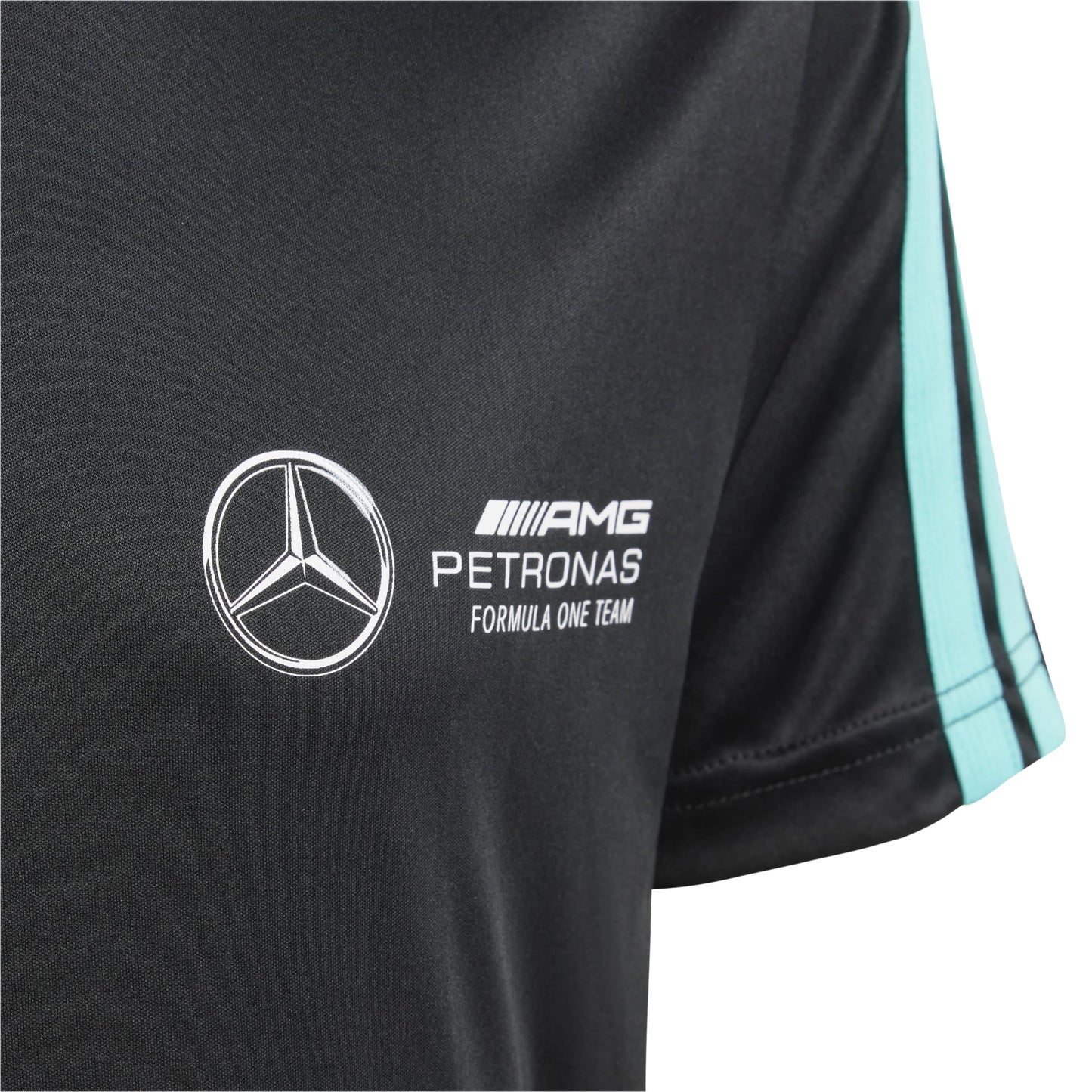 Adidas Hombre Mercedes - AMG Petronas Formula One Team DNA tee Men, Black/White, L